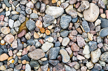Image showing Multi-coloured sea stones, close-up 