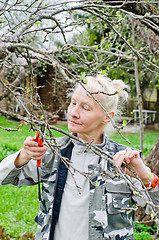 Image showing Woman cuts a branch at an Apple-tree, a spring in the garden 