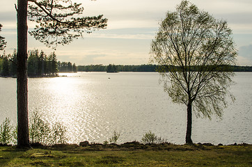 Image showing Calm lake in back light