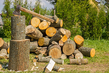 Image showing Chopping firewood