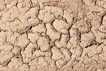 Image showing Cracked soil