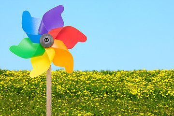 Image showing Wind wheel in front of summer meadow