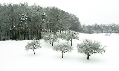 Image showing winter landscape