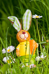 Image showing easter bunny outdoor in spring 