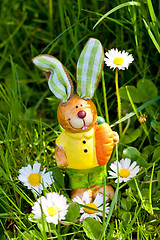 Image showing easter bunny outdoor in spring 