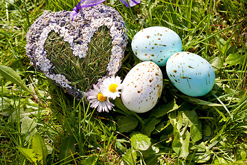 Image showing easter egg decoration outdoor in spring