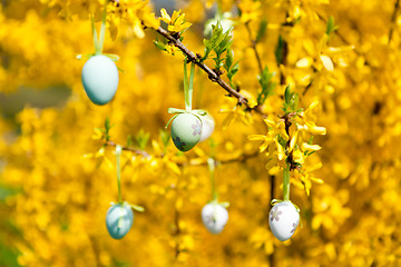 Image showing easte egg and forsythia tree in spring outdoor