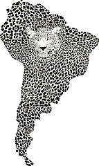 Image showing Camouflage Jaguar on the map of South America