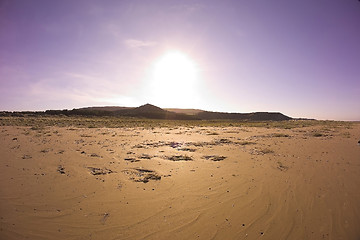 Image showing thursty at sandbeach