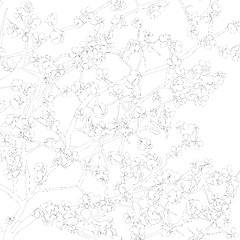 Image showing Floral background outline