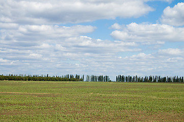 Image showing grass field