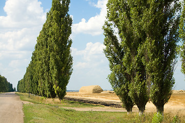 Image showing trees way stack