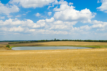 Image showing pond