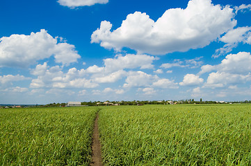 Image showing blue sky