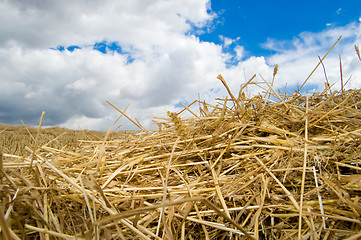 Image showing stack closeup