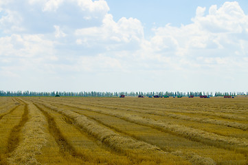 Image showing harvesting