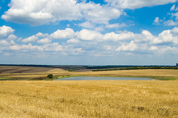 Image showing rural view