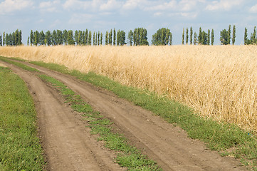 Image showing dirt road