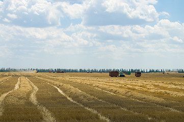 Image showing harvesting