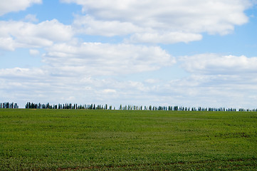 Image showing green field