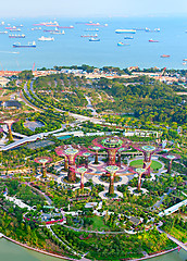 Image showing Gardens by the Bay bird's eye view