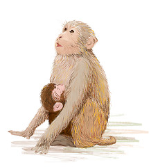 Image showing hand drawn illustration of  the monkey feeding newborn baby