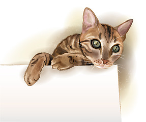 Image showing hand drawn illustration of  the cat with banner. Watercolor styl