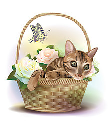 Image showing Illustration of  the tabby cat sitting in a basket with roses. 