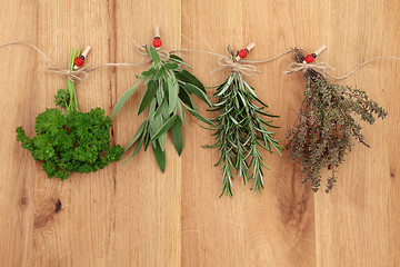 Image showing Herbs Drying 