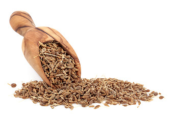 Image showing Aniseed Spice