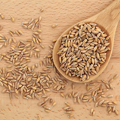 Image showing Wheat Grain