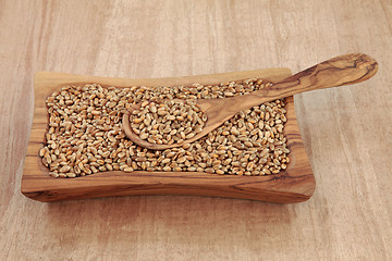 Image showing Wheat Grain