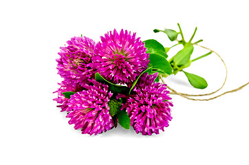 Image showing Clover bouquet tied with a rope