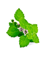 Image showing Mint green with flowers