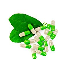 Image showing Capsules green with leaves