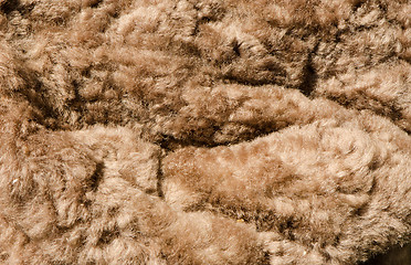 Image showing soft brown furry background 