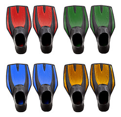 Image showing Set of multicolored swim fins