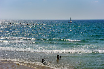 Image showing The sea at sunset