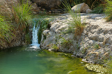 Image showing Ein Gedi Nature Reserve off the coast of the Dead Sea