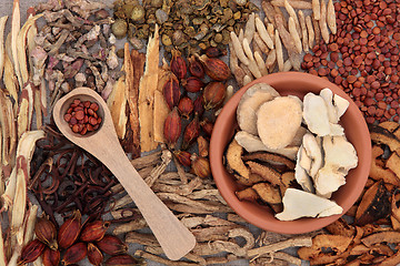 Image showing Chinese Medicinal Herbs