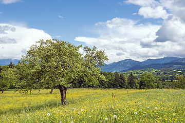 Image showing Bavaria landscape