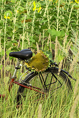 Image showing bicycle