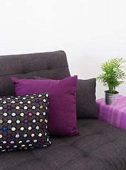 Image showing Sofa with colorful cushions and green plant