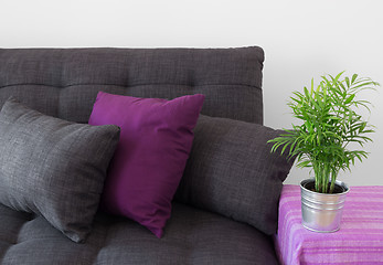 Image showing Cozy sofa with cushions and green plant