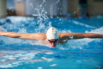 Image showing swimmer