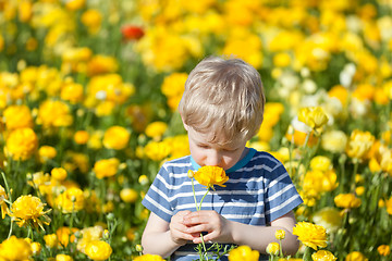 Image showing little boy at summer