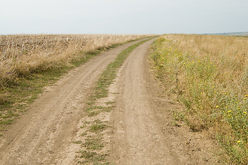 Image showing rural road