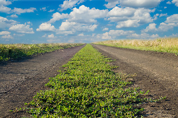 Image showing green road