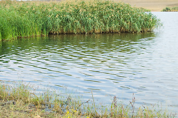 Image showing shore lakes