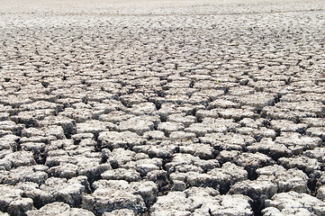 Image showing uncultivated ground